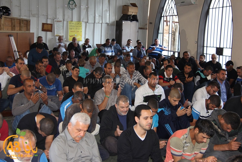 ra2ed fat7iya (3).JPG